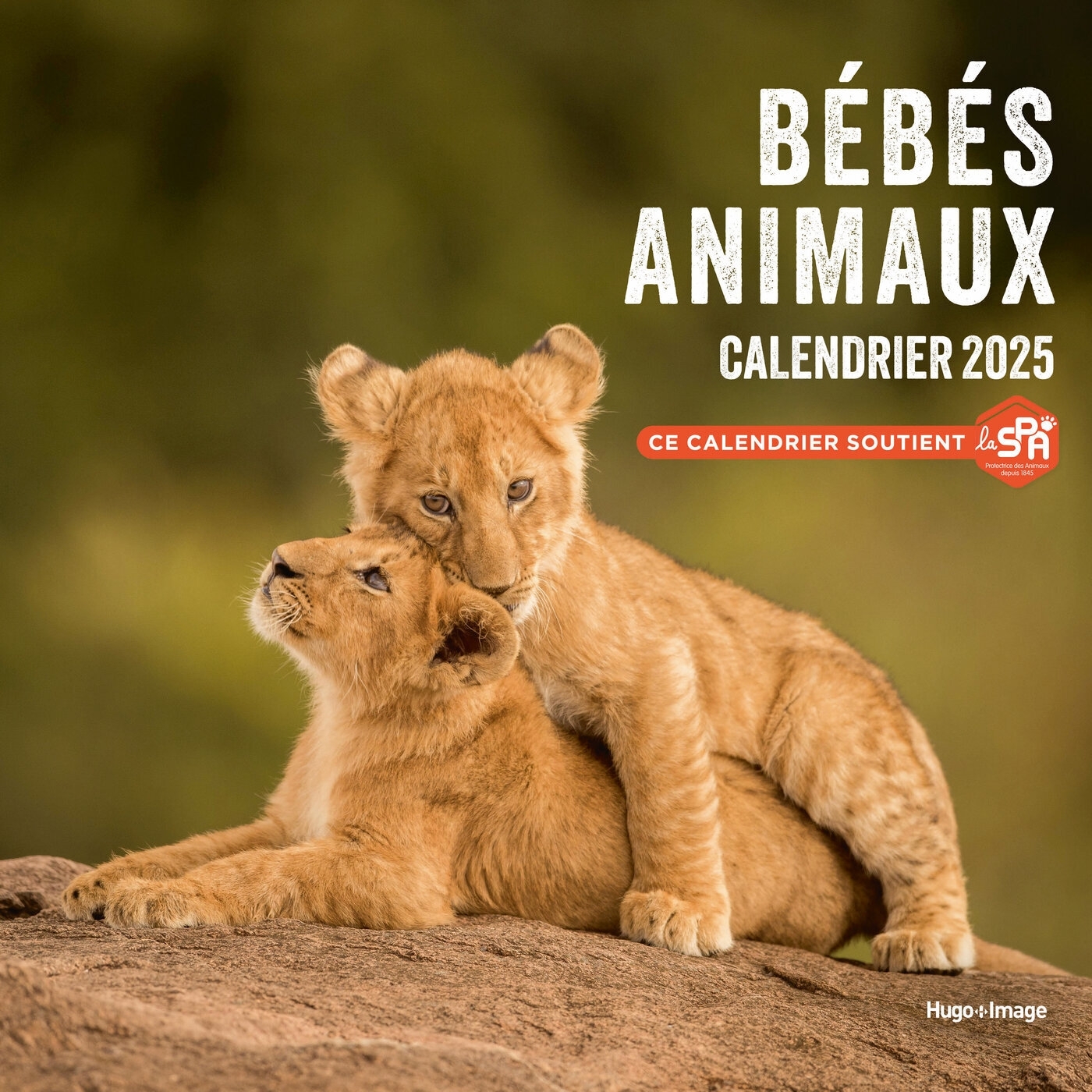Calendrier mural bébés animaux 2025