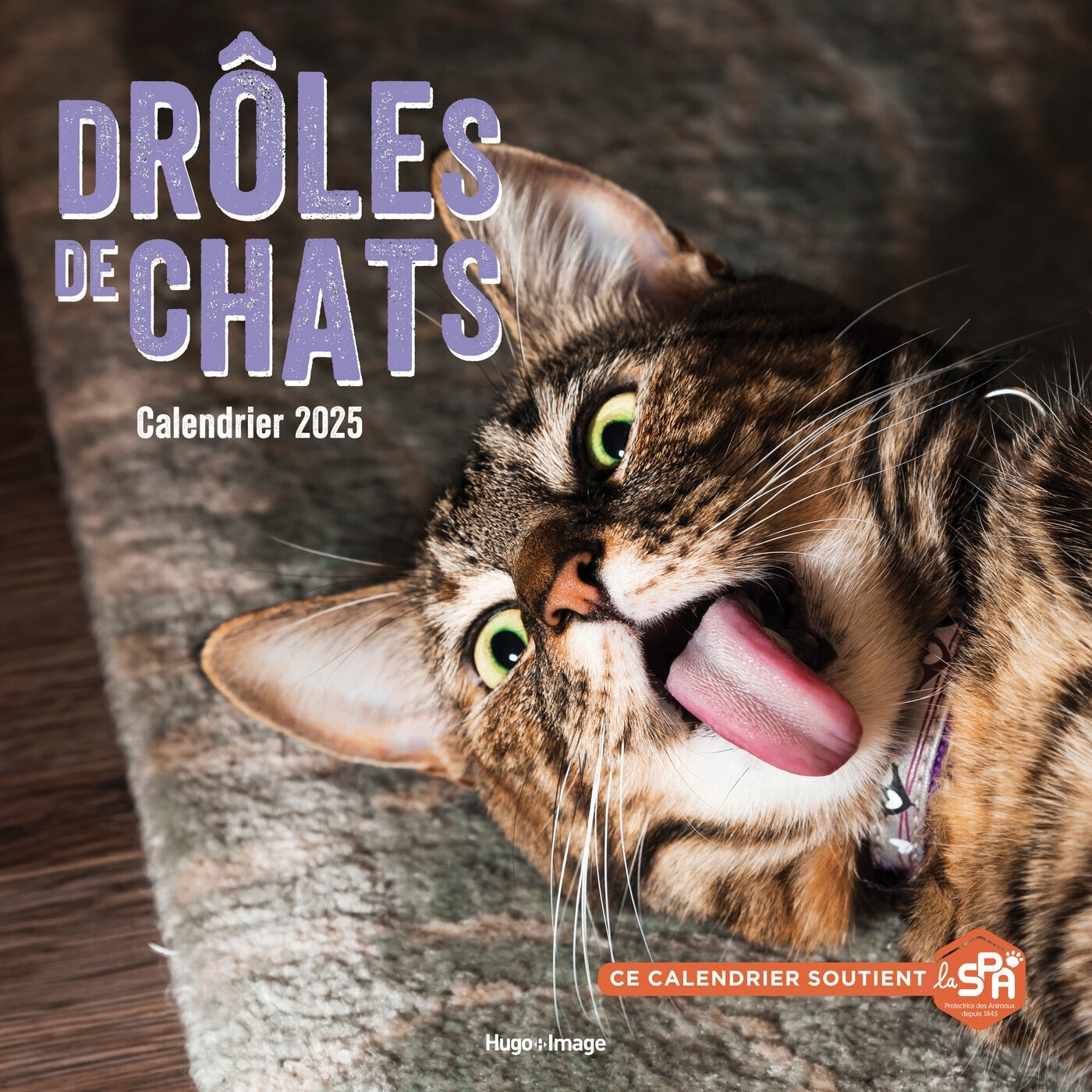 Calendrier mural drôles de chats 2025