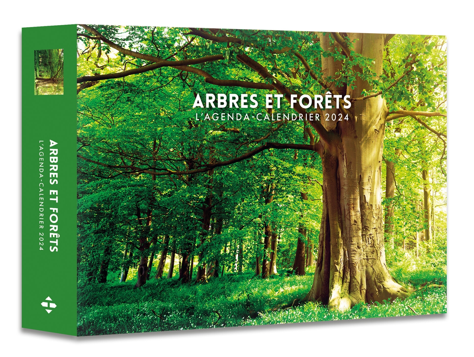 Agenda - Calendrier Arbres et forêts 2024