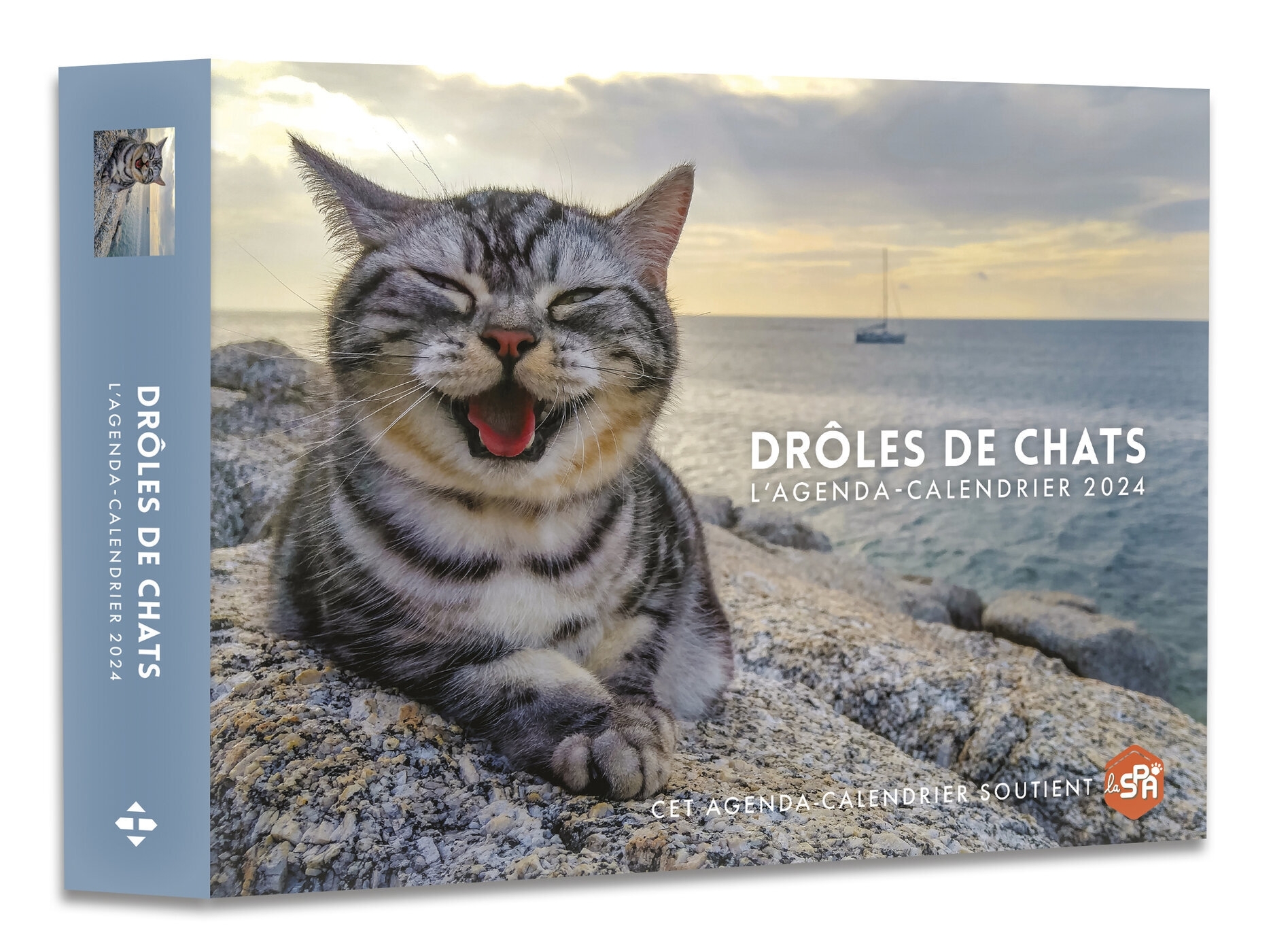 Agenda - Calendrier Drôles de chats 2024