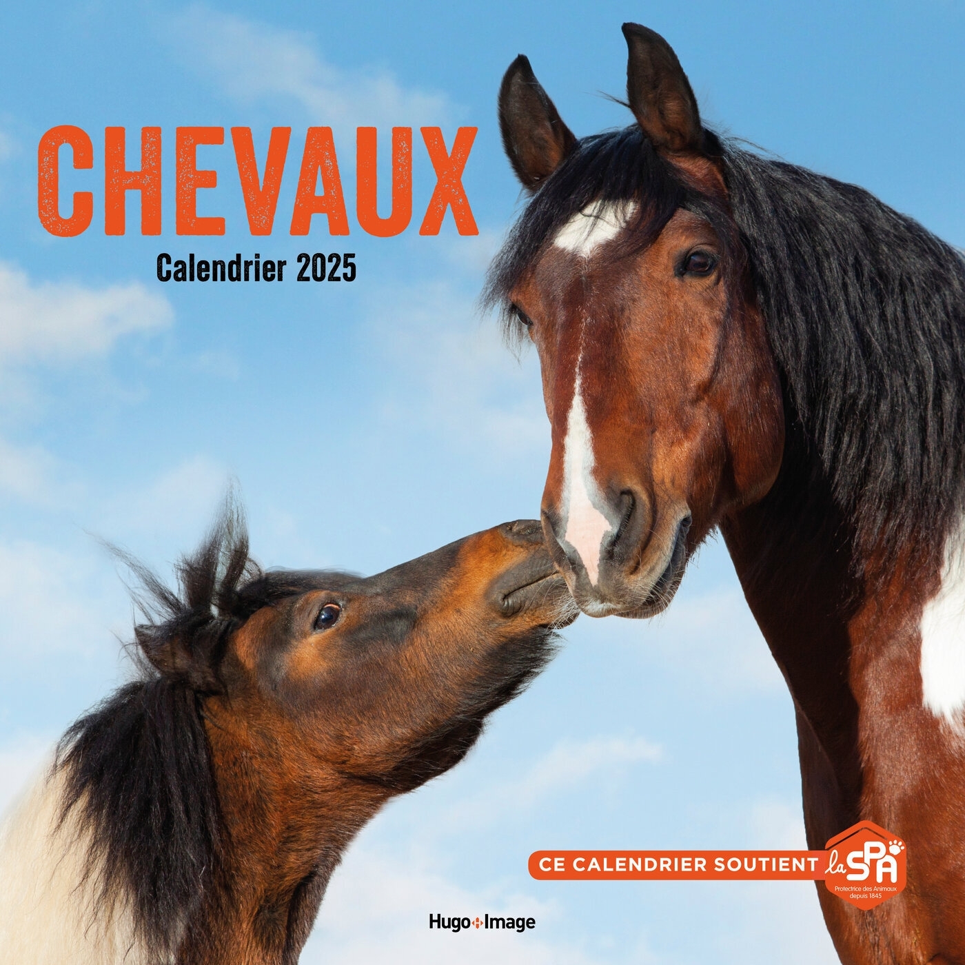 Calendrier mural chevaux 2025