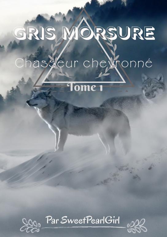 Gris Morsure - Tome 1