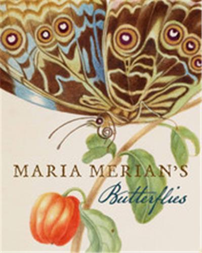 Maria Merian's Butterflies /anglais