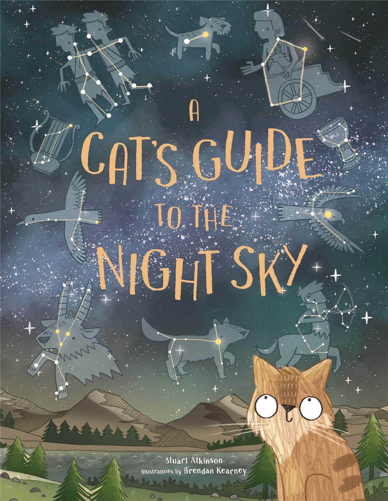 A Cat's Guide to the Night Sky /anglais
