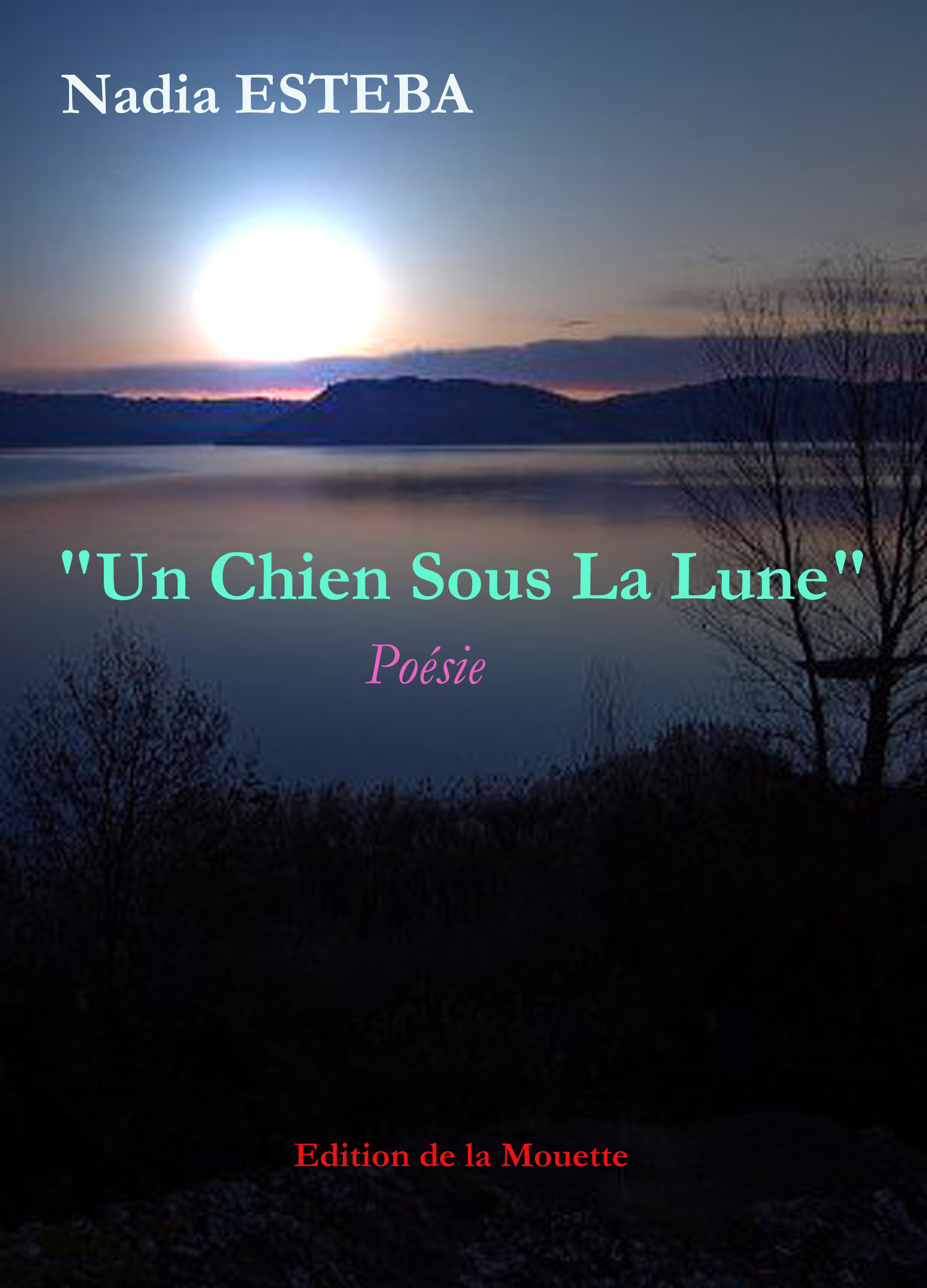 Un chien sous la lune
