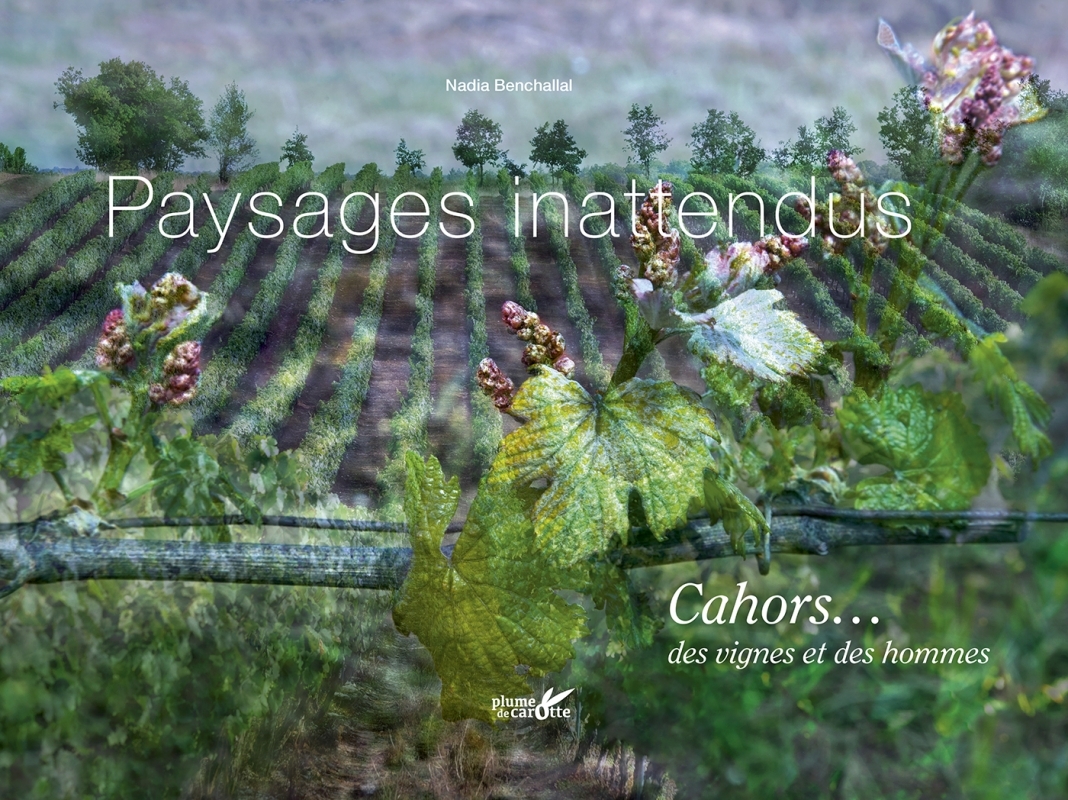 Paysages inattendus, cahors... Des vignes et des hommes