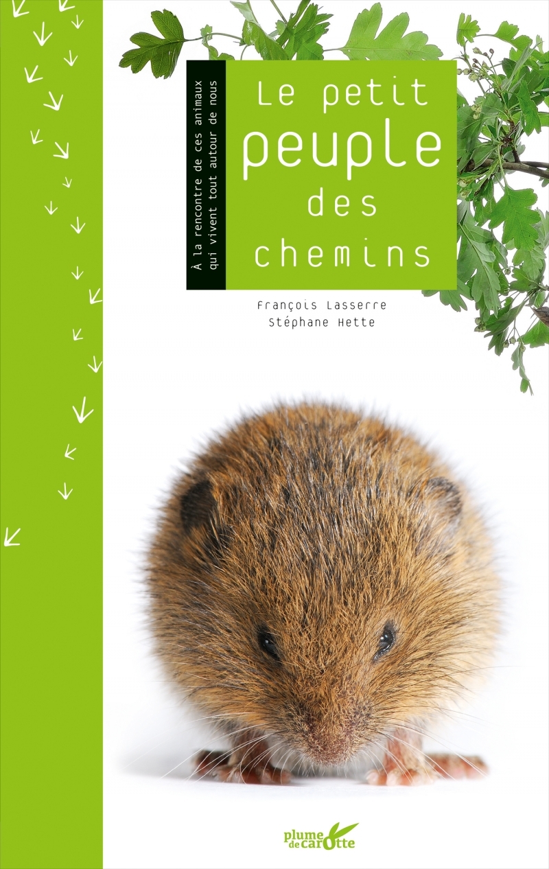 Le petit peuple des chemins