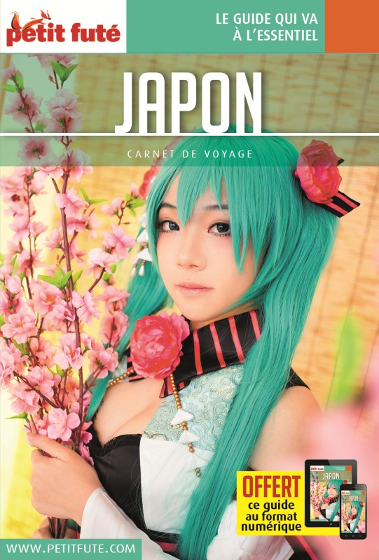 Guide Japon 2017 Carnet Petit Futé