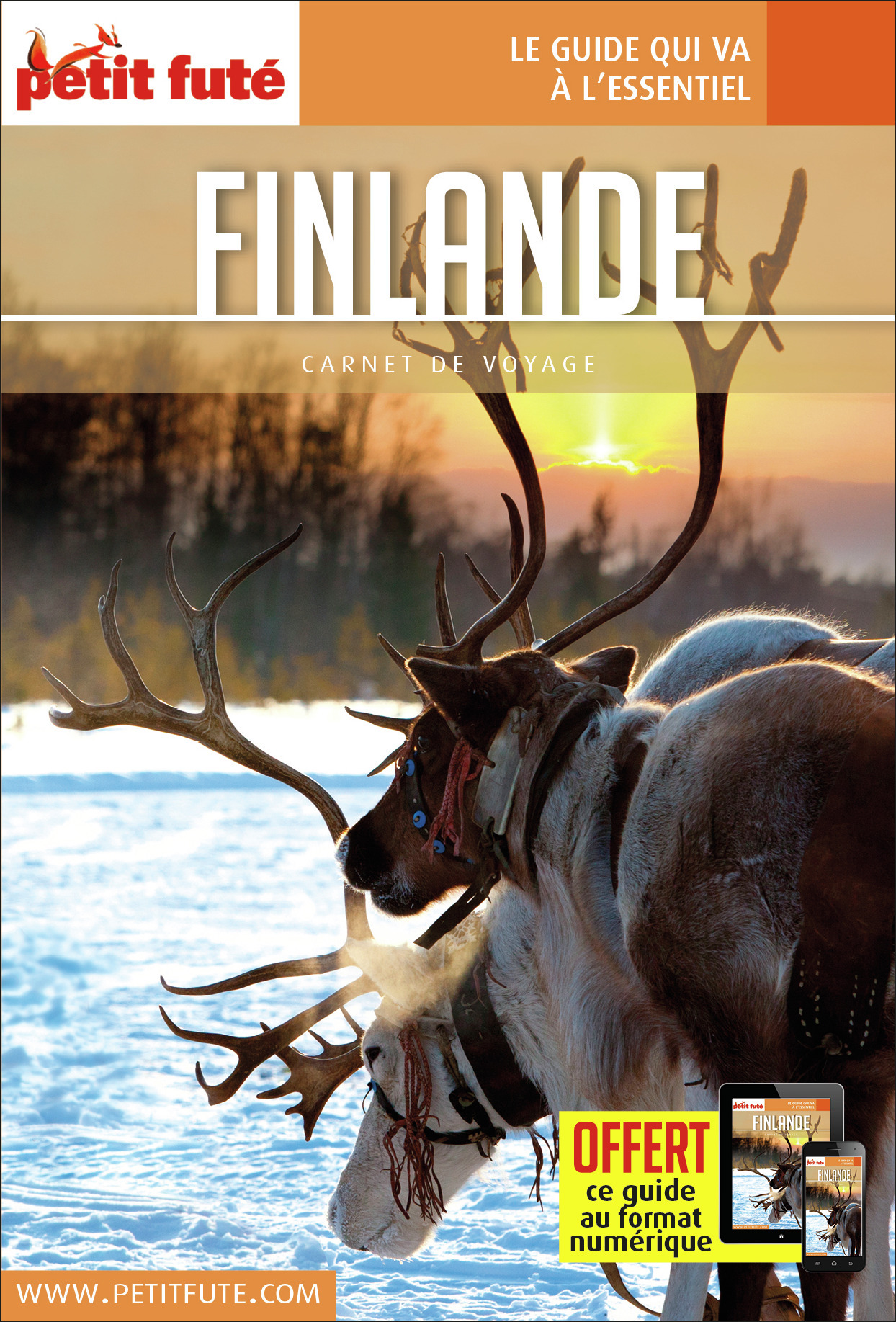 Guide Finlande 2017 Carnet Petit Futé