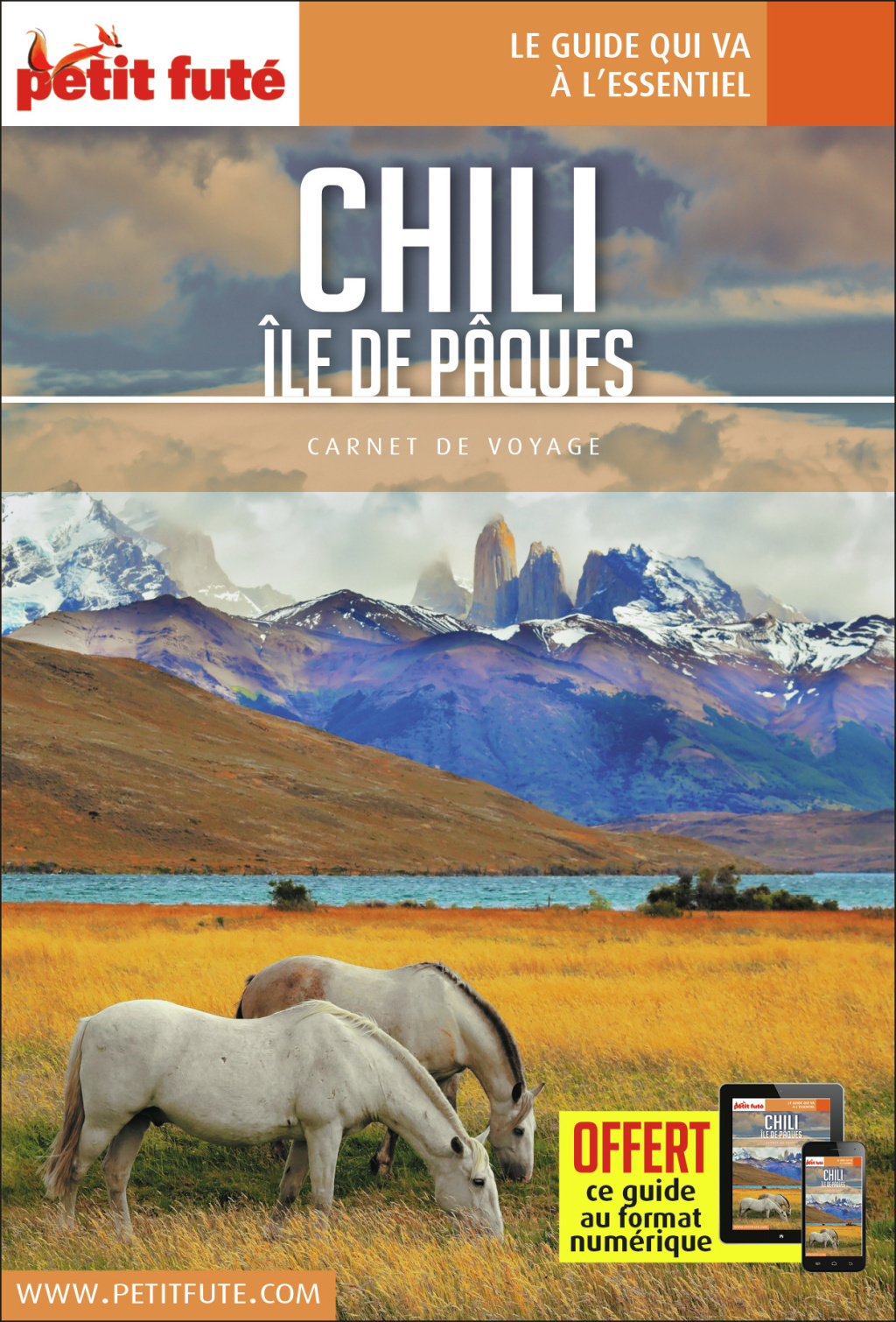 Guide Chili - île De Pâques 2018 Carnet Petit Futé