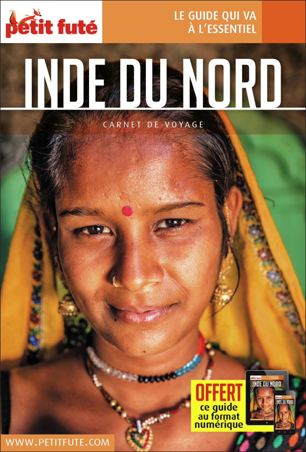 Guide Inde Du Nord 2018 Carnet Petit Futé