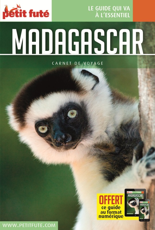 Guide Madagascar 2017 Carnet Petit Futé