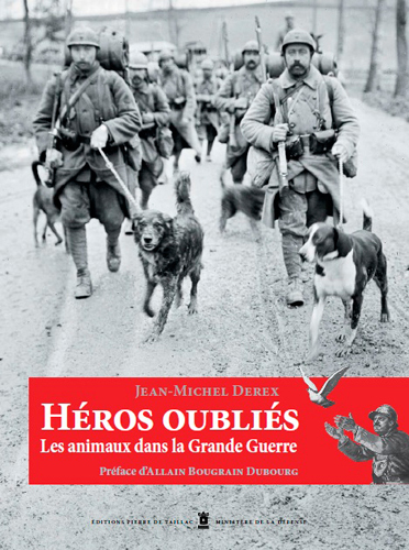 Heros Oublies : Animaux Dans La Gde Guerre