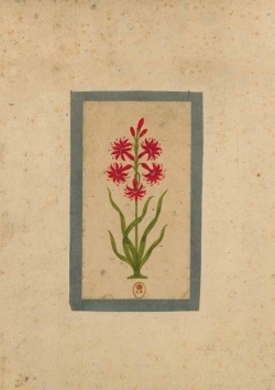Carnet ligné Fleur 1, miniature Indienne 18e siècle