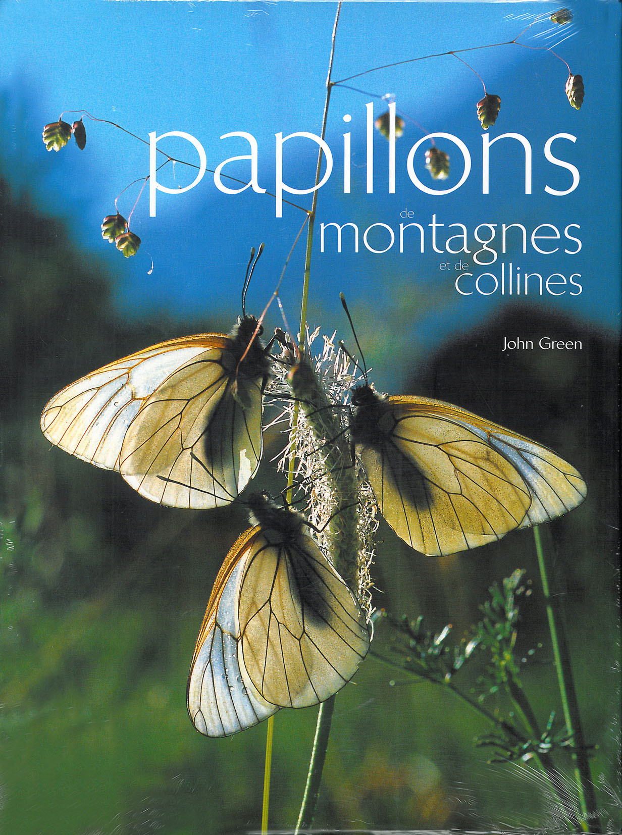 Papillons de montagnes et de collines