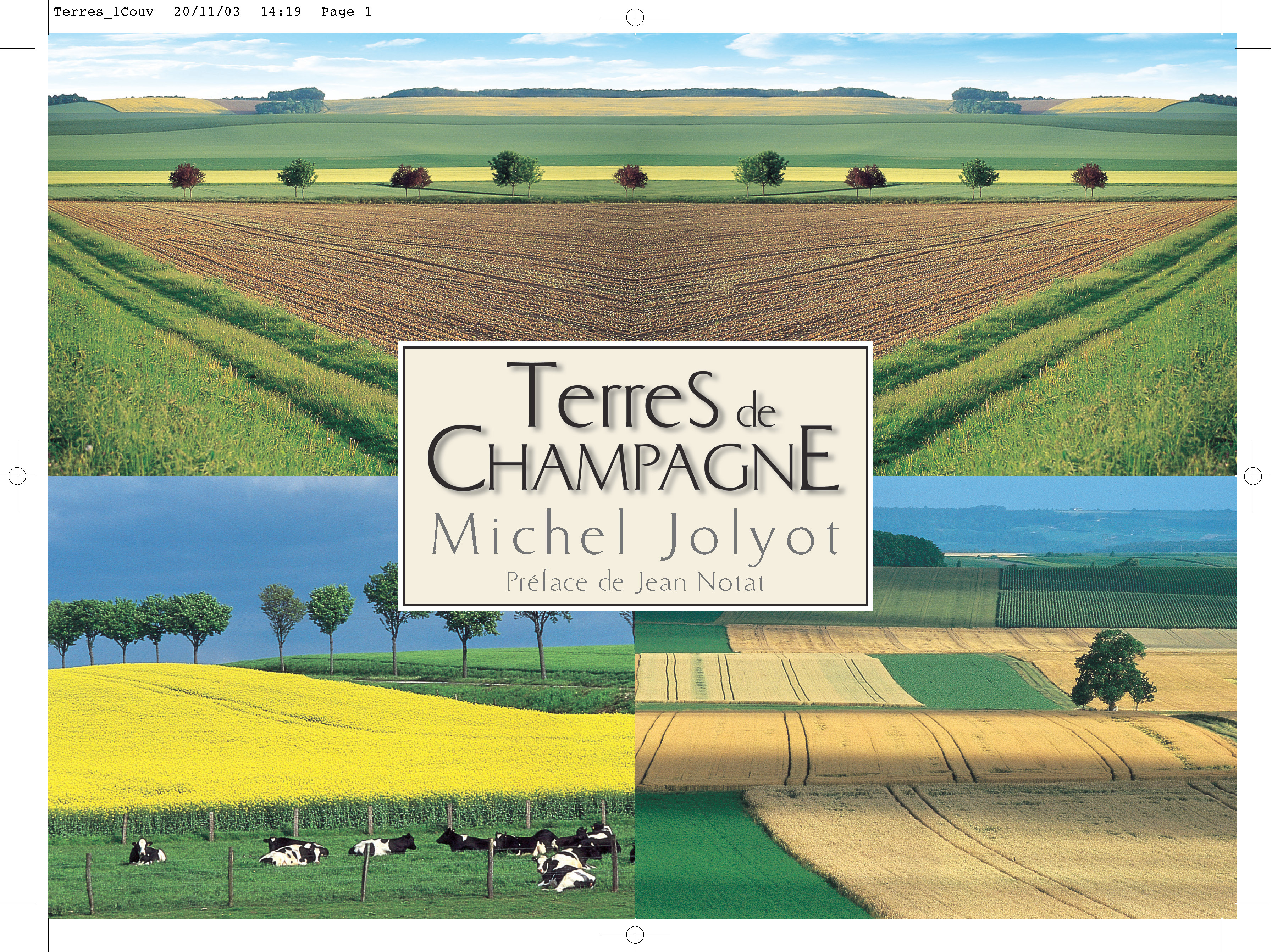 TERRES DE CHAMPAGNE