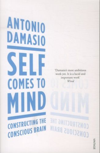 Self Comes to Mind: Constructing the Conscious Brain