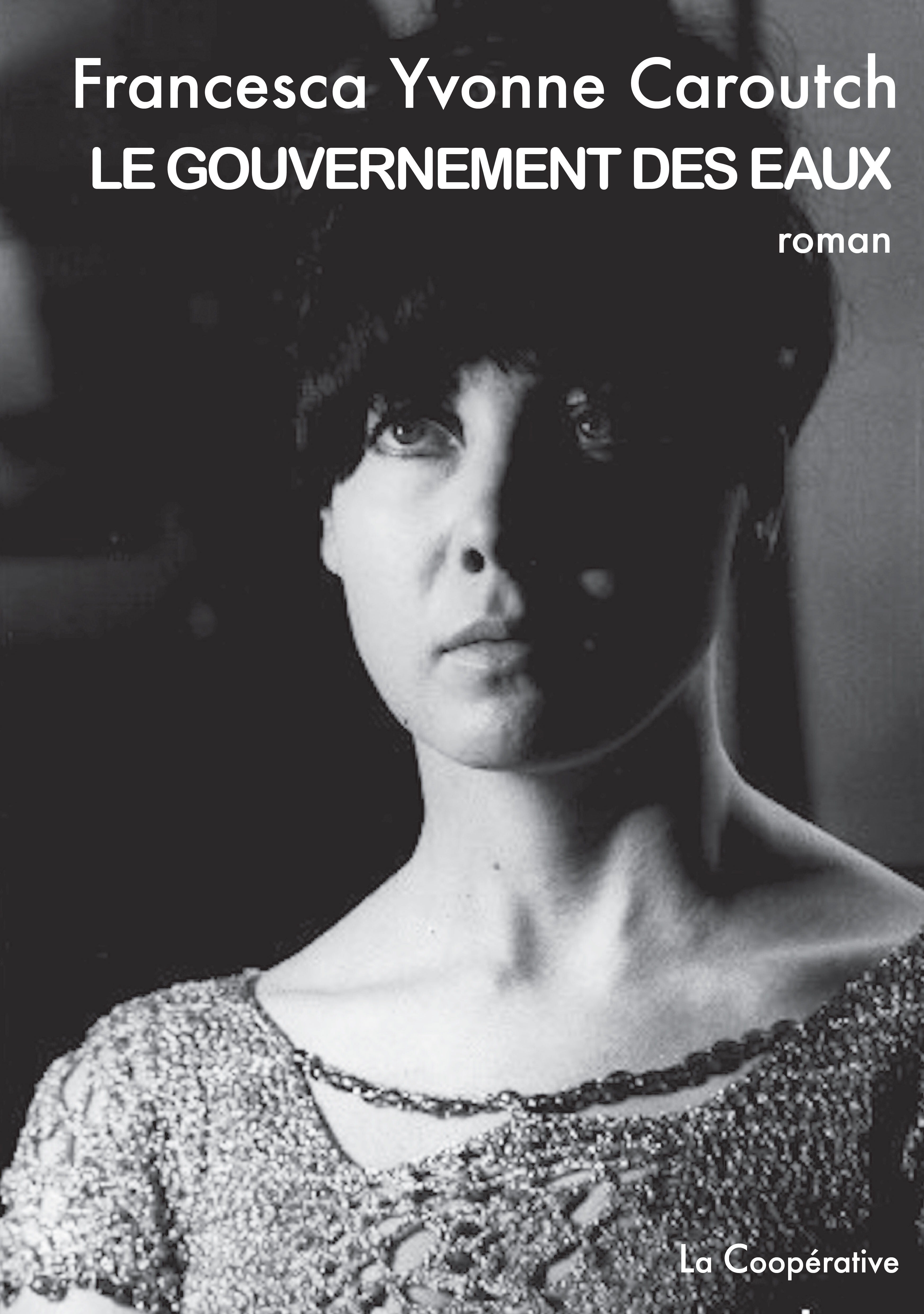 LE GOUVERNEMENT DES EAUX