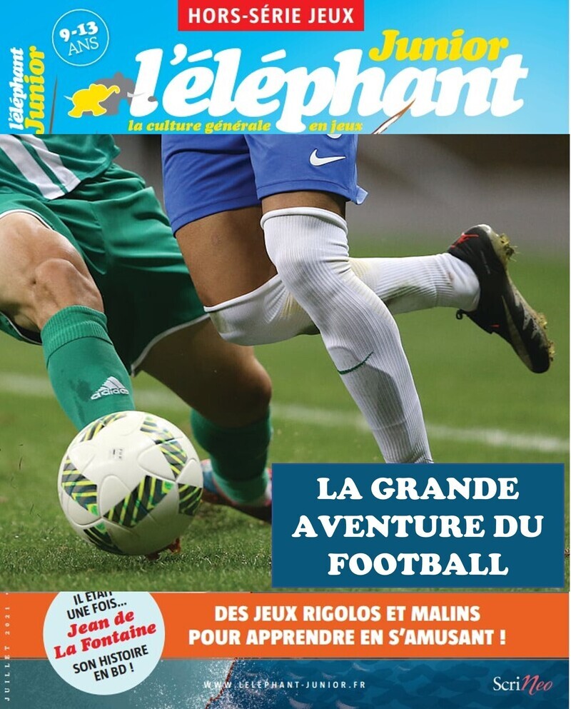 éléphant junior - N° 13