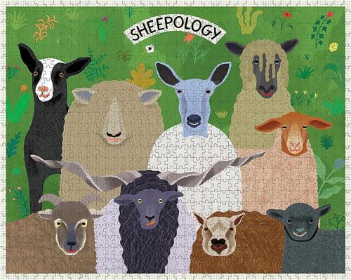 Sheepology 1000 Piece Puzzle /anglais