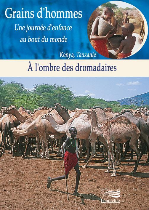 DVD Grains d'hommes - A l'ombre des dromadaire