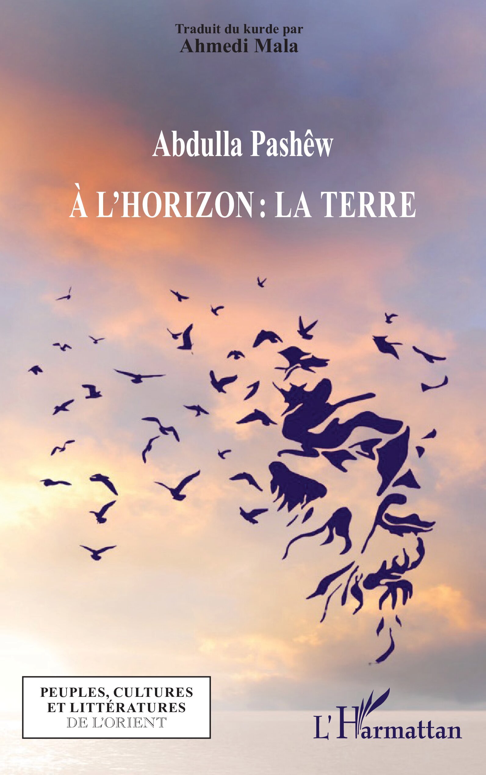 À l'horizon : la Terre