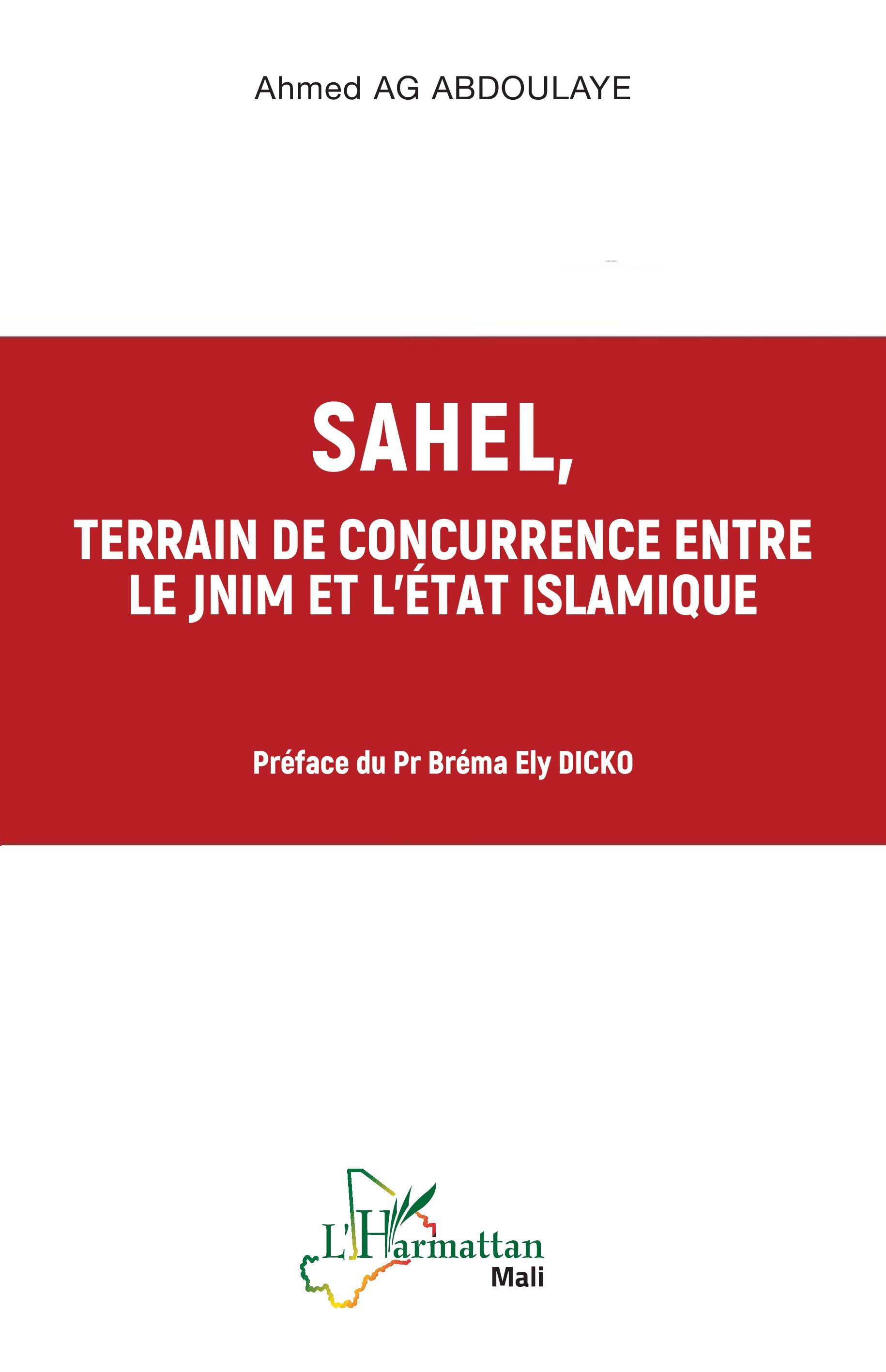 Sahel, terrain de concurrence entre le JNIM et l'Etat Islamique