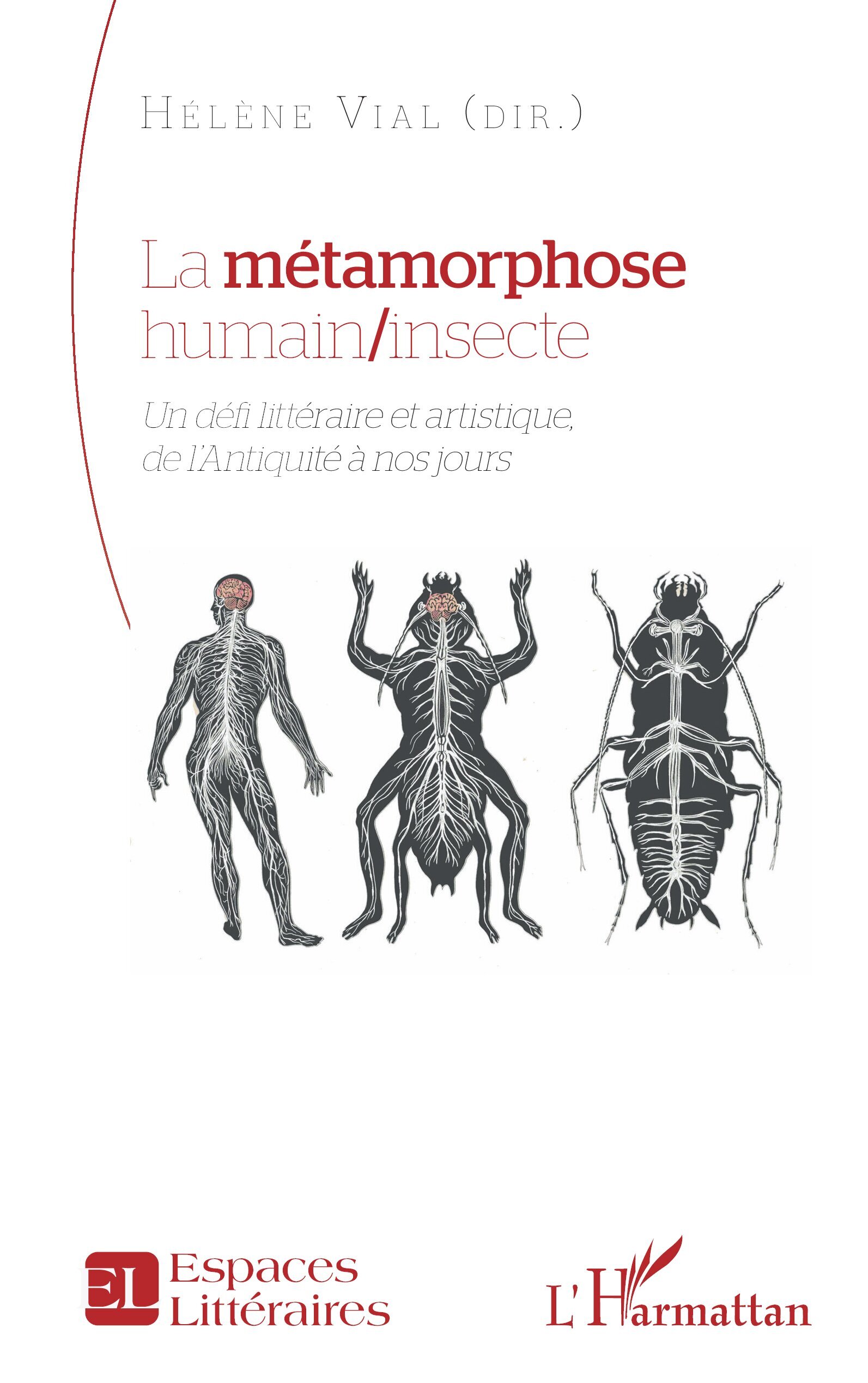 La métamorphose humain/insecte