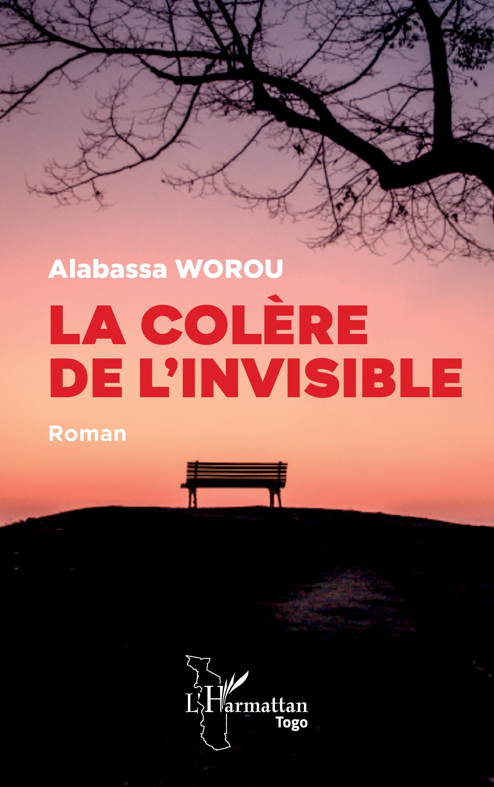 La colère de l’invisible