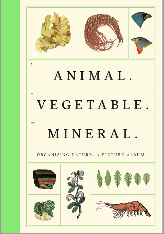 Animal Vegetable Mineral /anglais