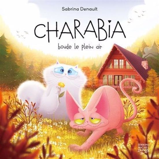 CHARABIA V 05 BOUDE LE PLEIN AIR