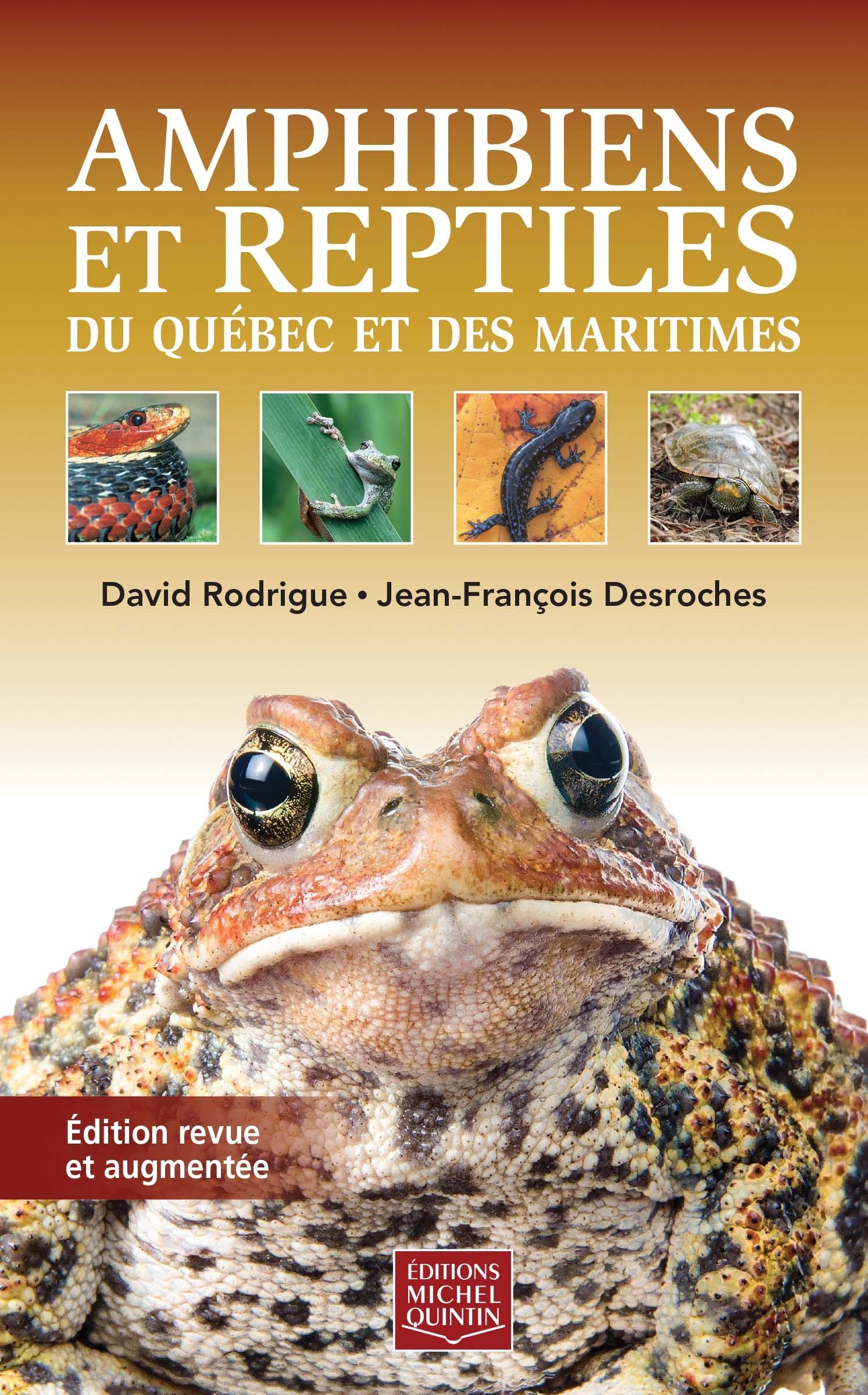 AMPHIBIENS ET REPTILES DU QUEBEC ET DES MARITIMES (COUV SOUPLE)