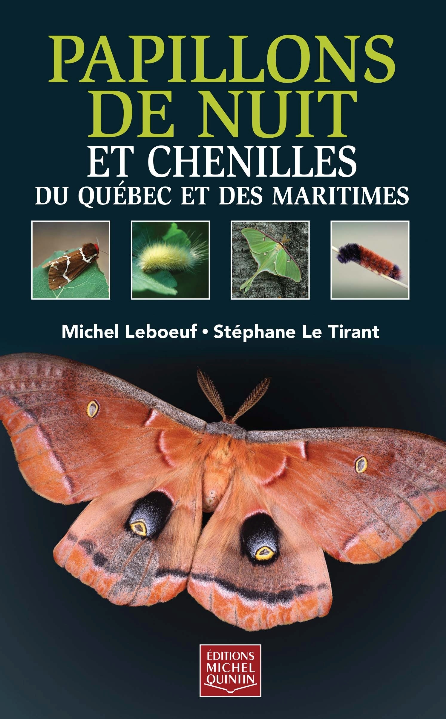 PAPILLONS DE NUIT ET CHENILLES DU QUEBEC ET DES MARITIMES