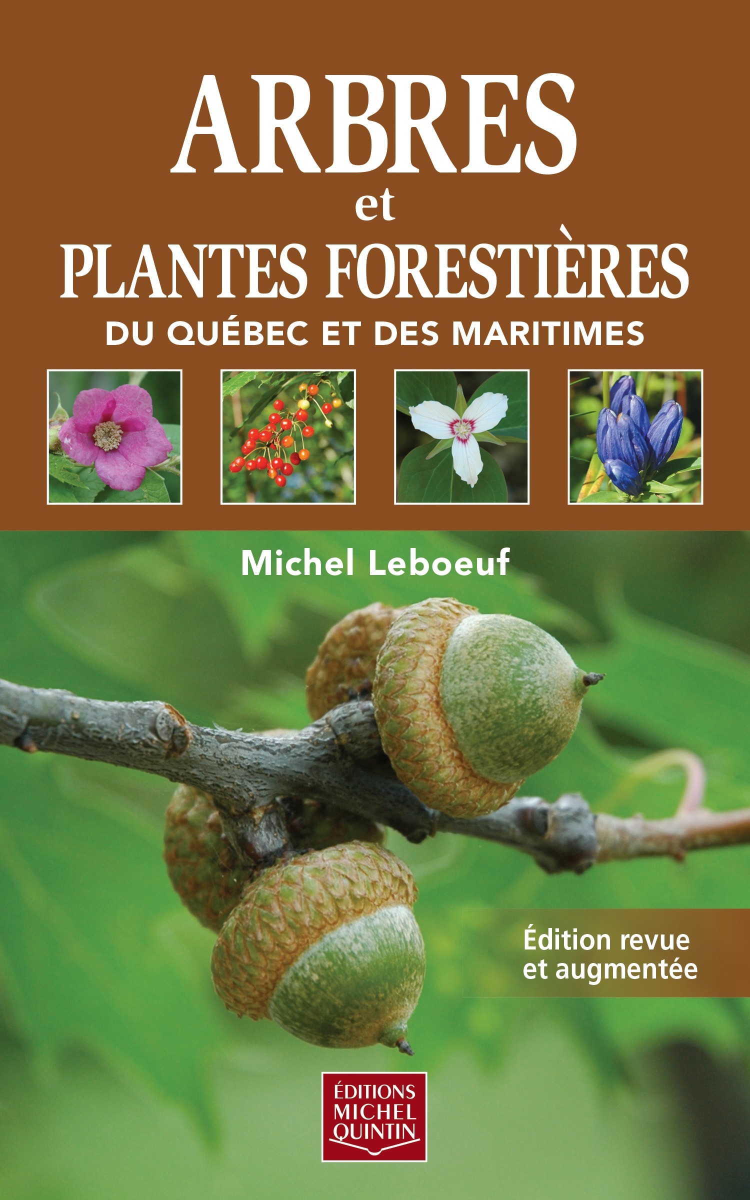 ARBRES ET PLANTES FORESTIERES DU QUEBEC ET DES MARITIMES