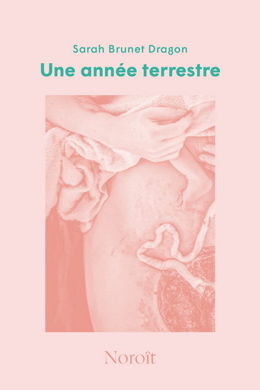 UNE ANNEE TERRESTRE