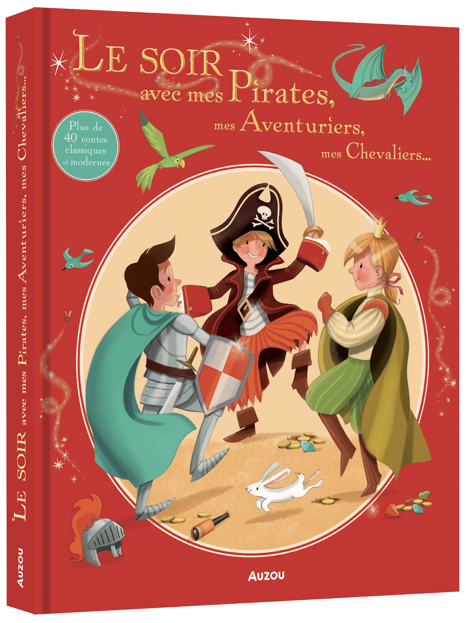 Le soir avec mes Pirates, mes Aventuriers, mes Chevaliers... NED