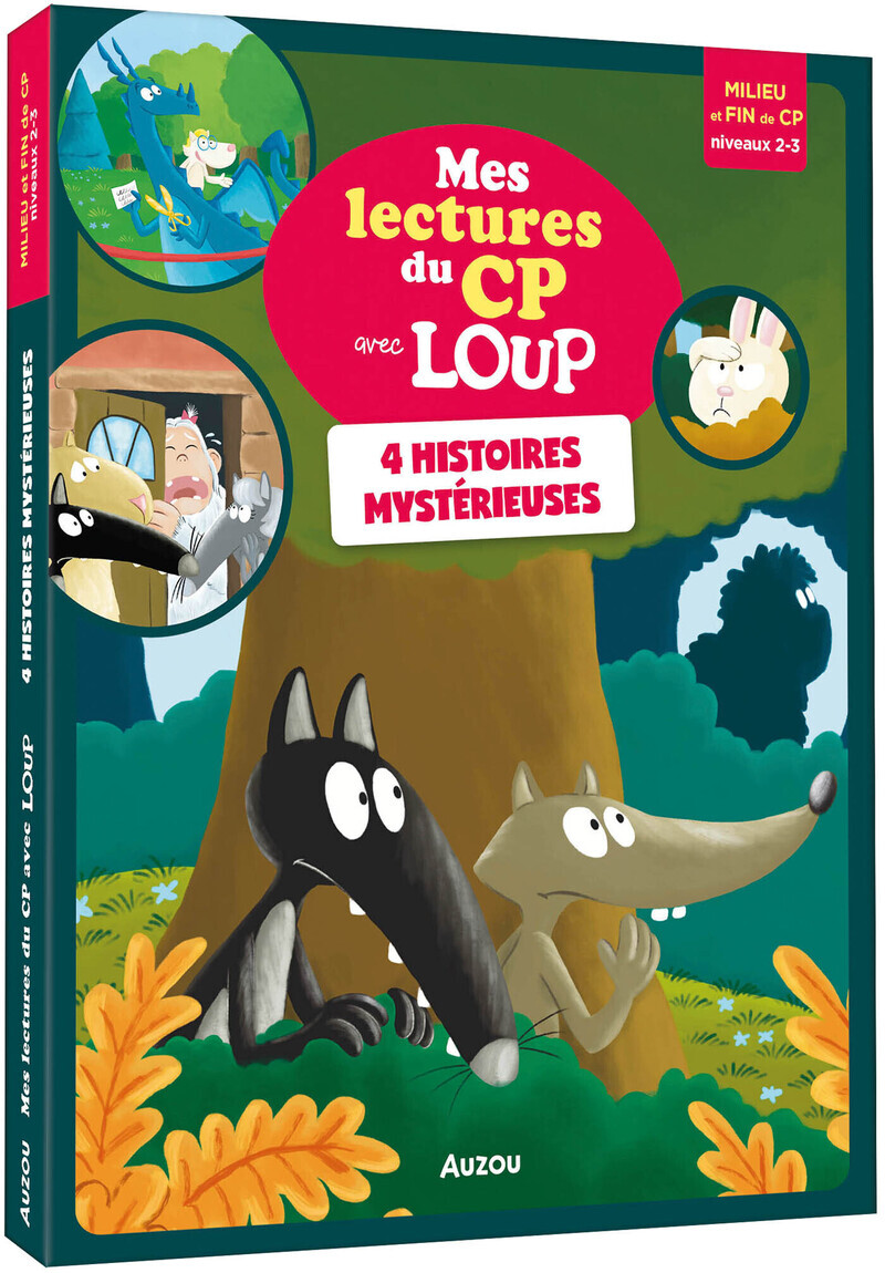 Mes lectures du CP avec Loup - 4 histoires mystérieuses - Niveau 2-3