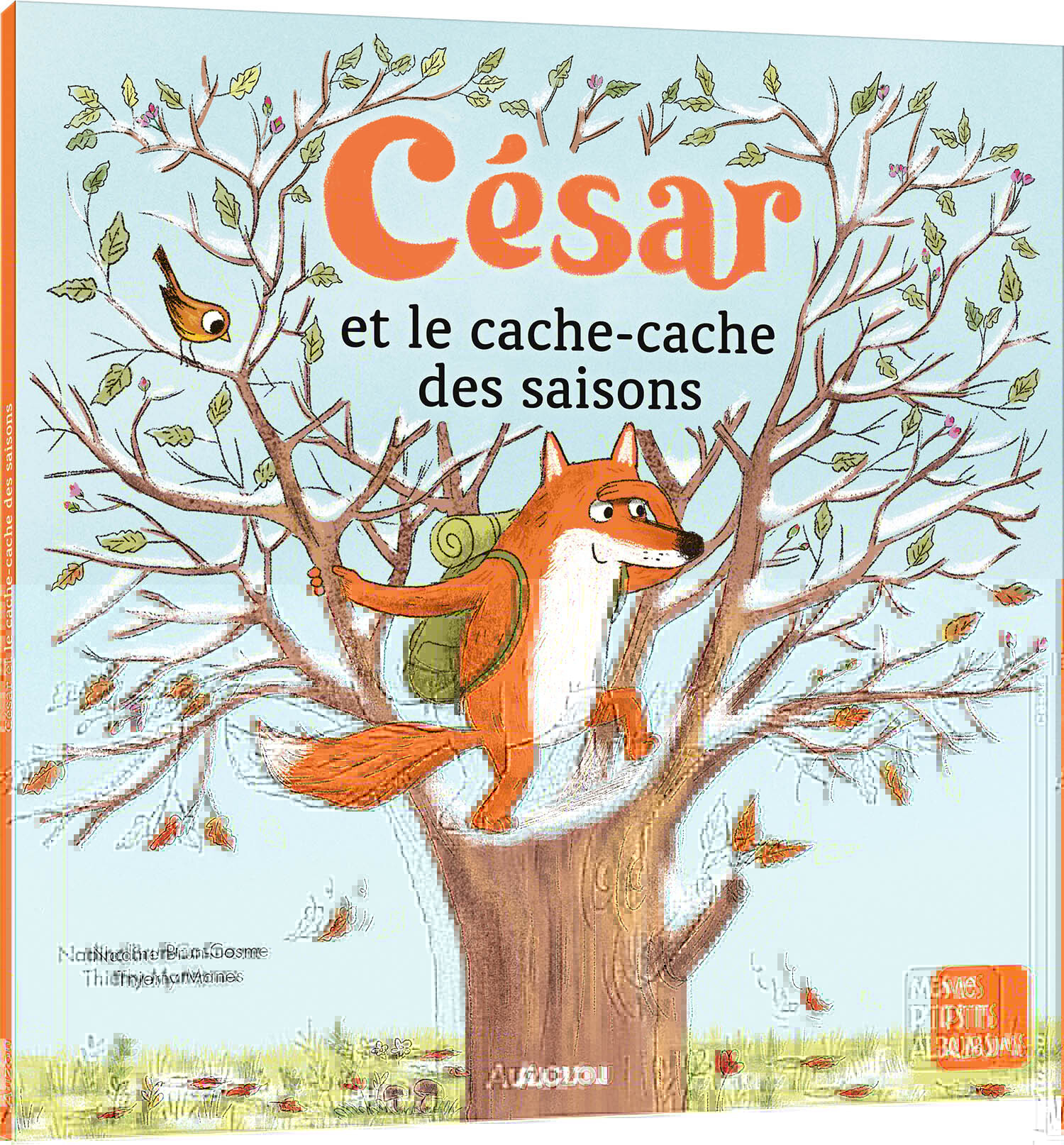CESAR ET LE CACHE CACHE DES SAISONS