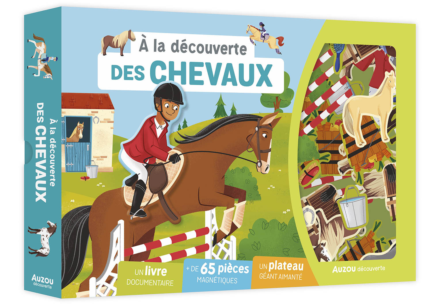 A LA DECOUVERTE DES CHEVAUX