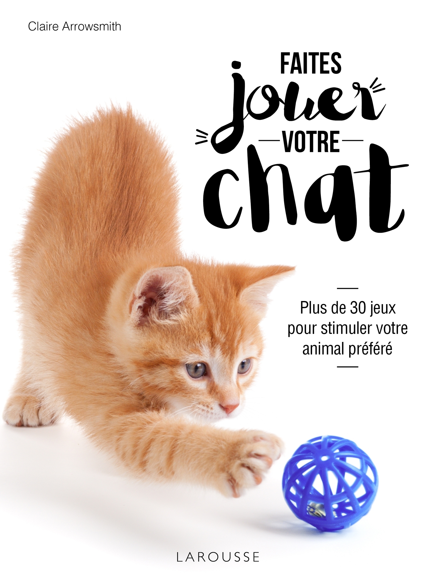 Faites jouer votre chat !