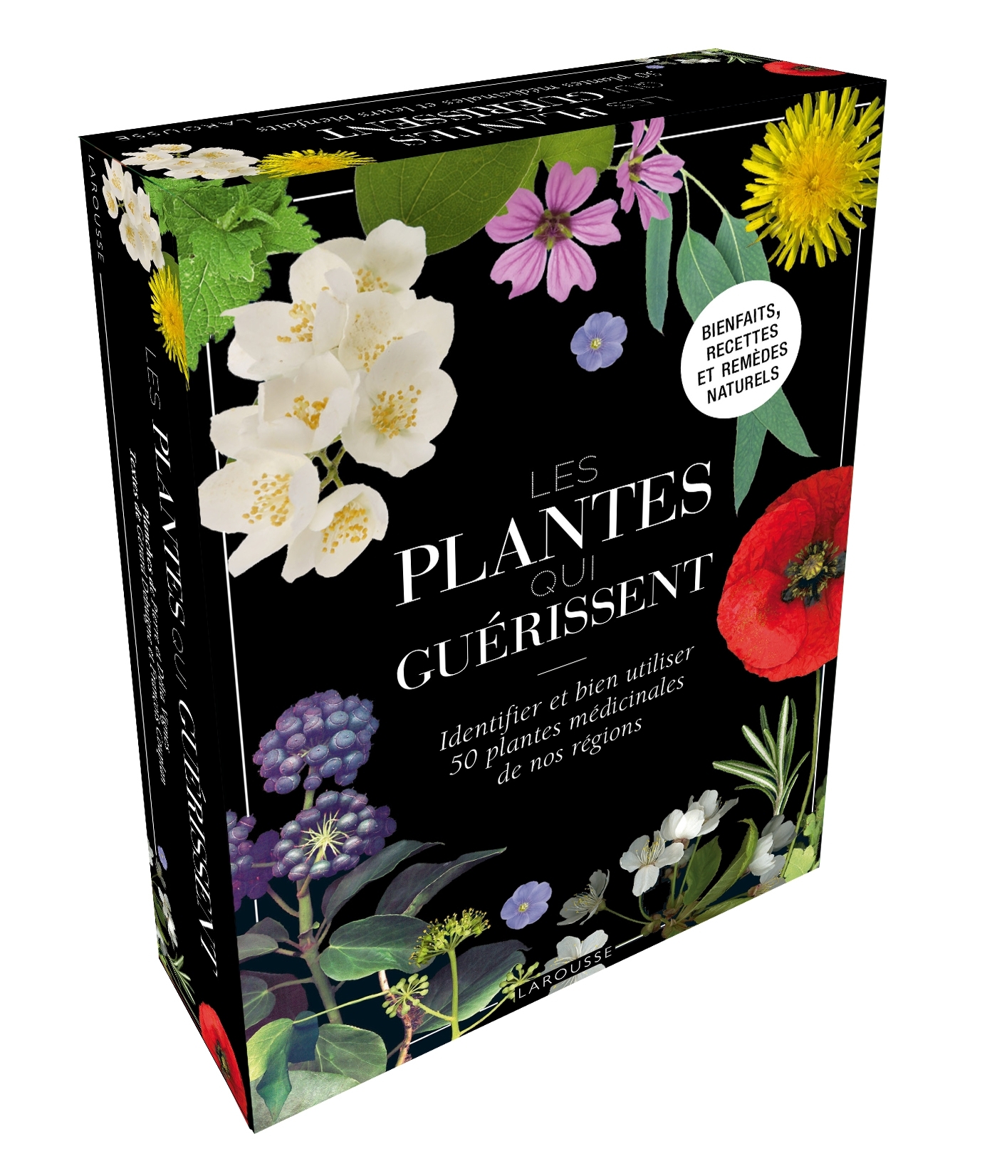 Coffret Les plantes qui guérissent