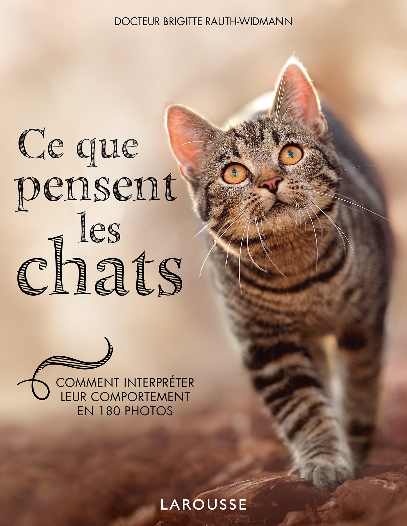 Ce que pensent les chats
