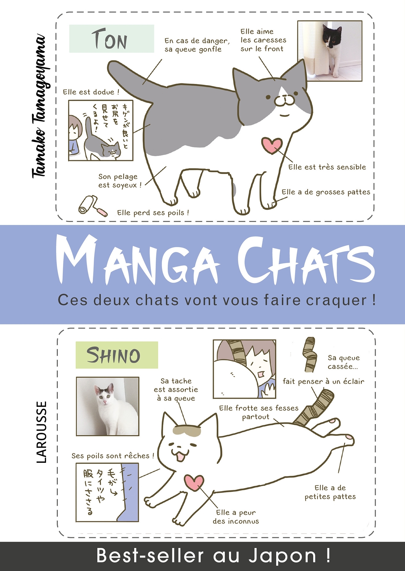 Manga chats