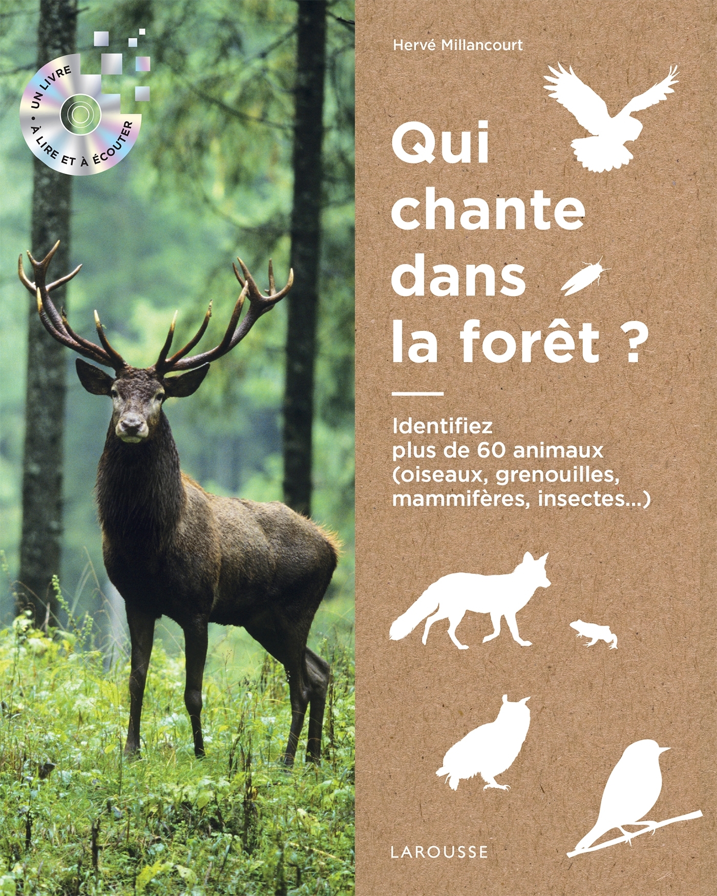 Ecoutons la forêt !