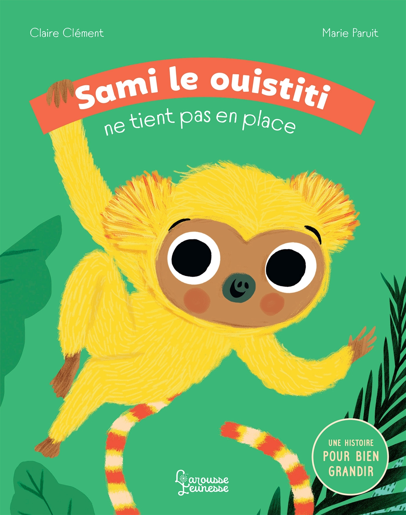 Sami le ouistiti