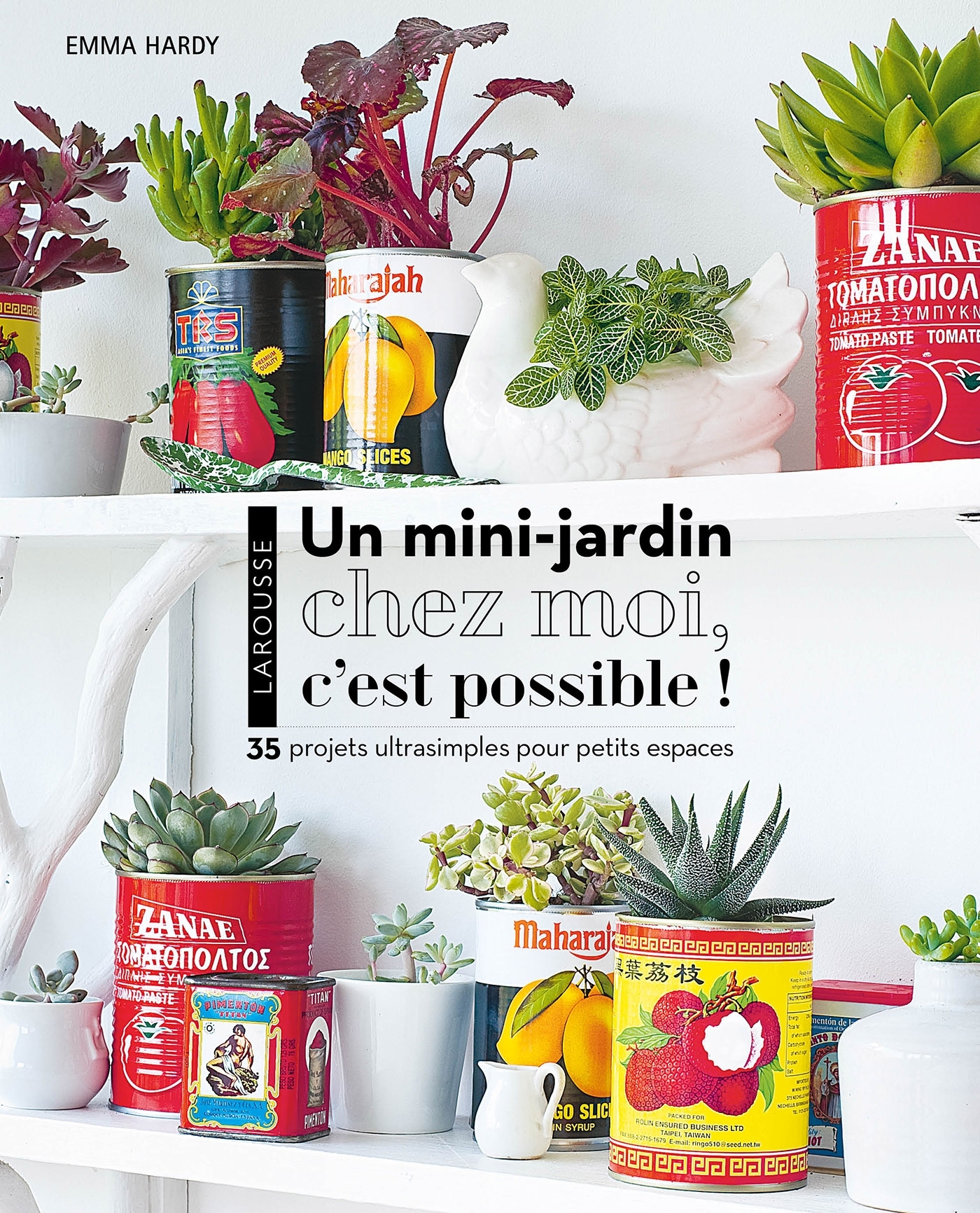Un mini jardin chez moi, c'est possible !