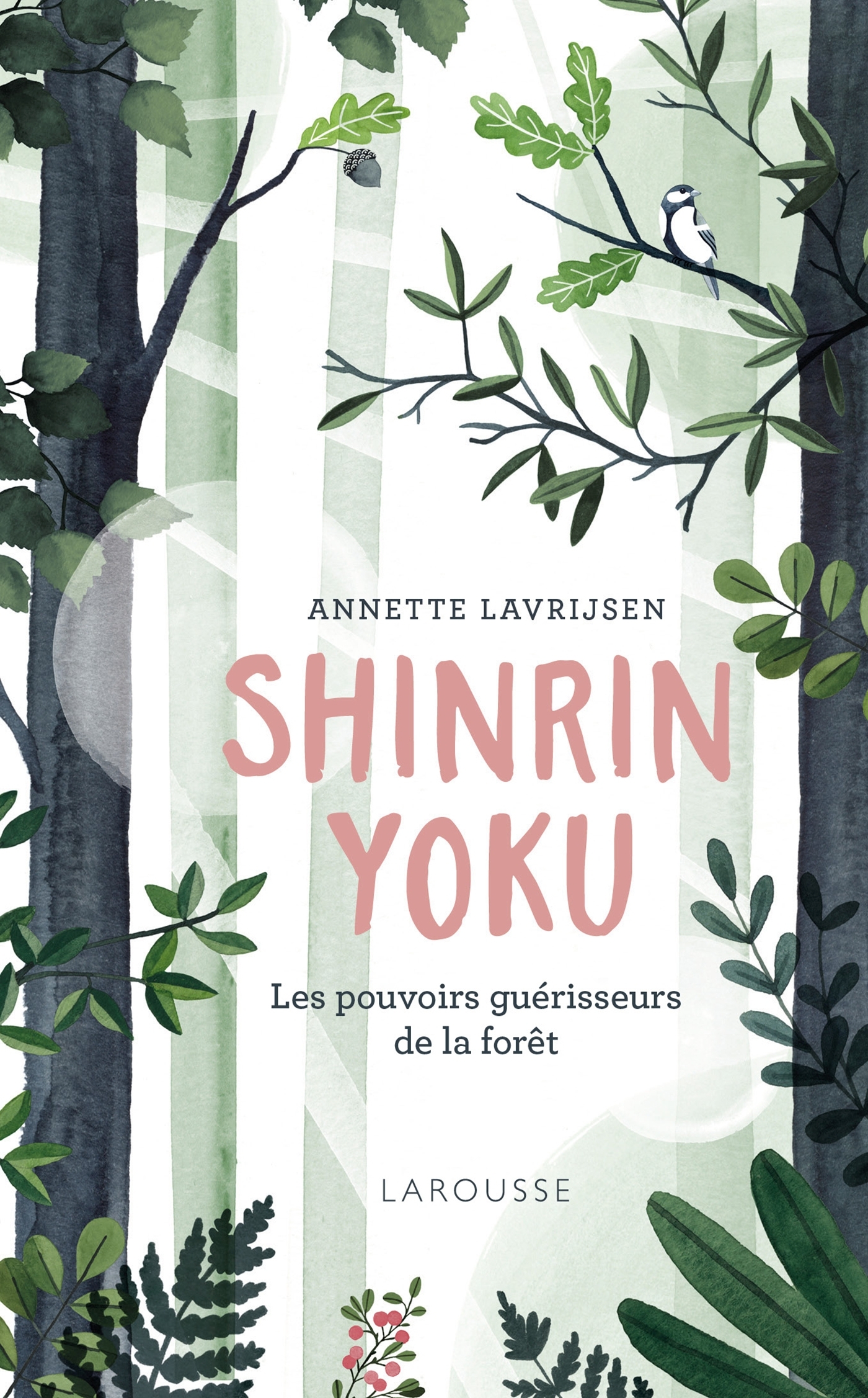 Shinrin Yoku, la forêt qui guérit le corps et l'esprit