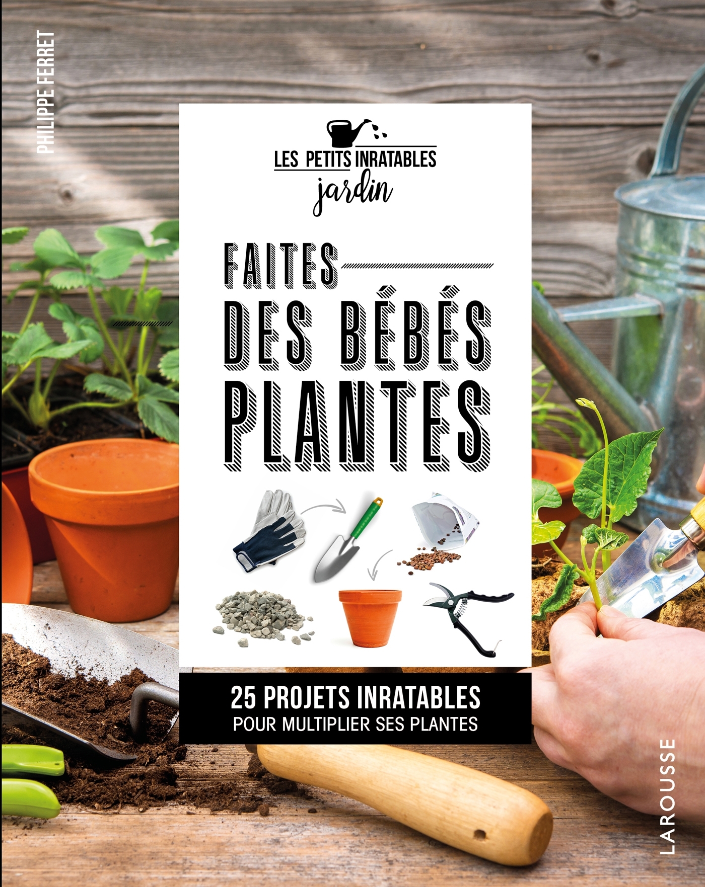 Faites des bébés plantes !