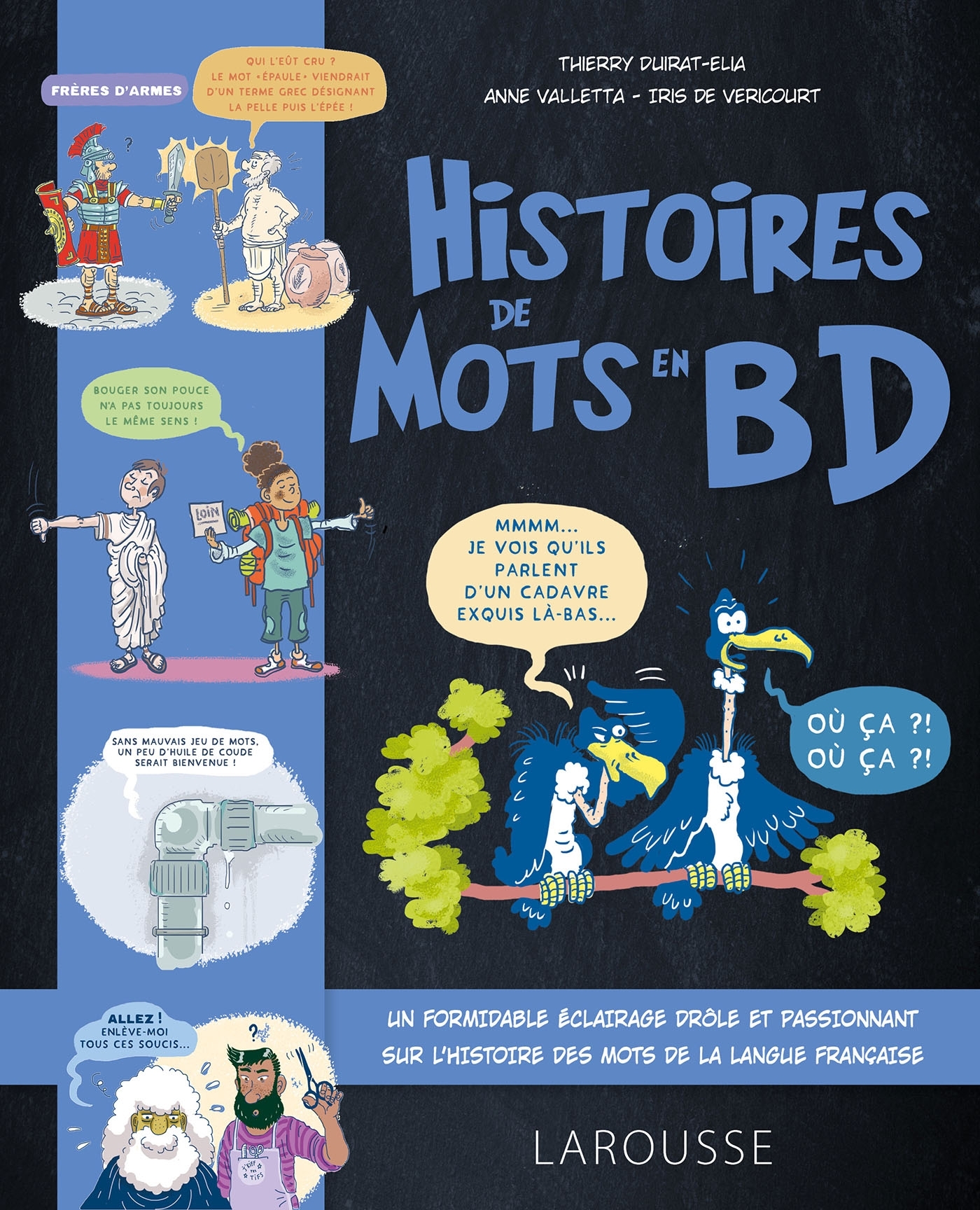 L'Histoire des mots en BD
