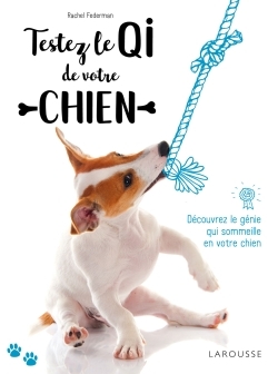 Testez le QI de votre chien